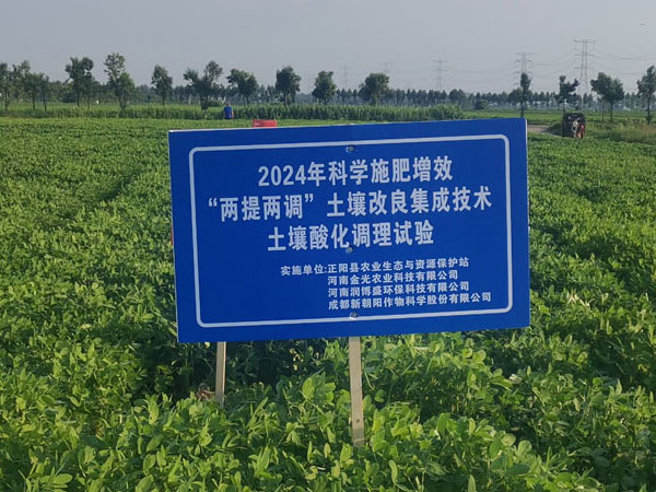 2024年科学施肥增效“两提两调”土壤改良集成技术土壤酸化调理试验